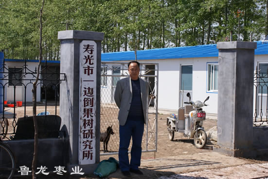寿光一边倒果树研究所交流技术